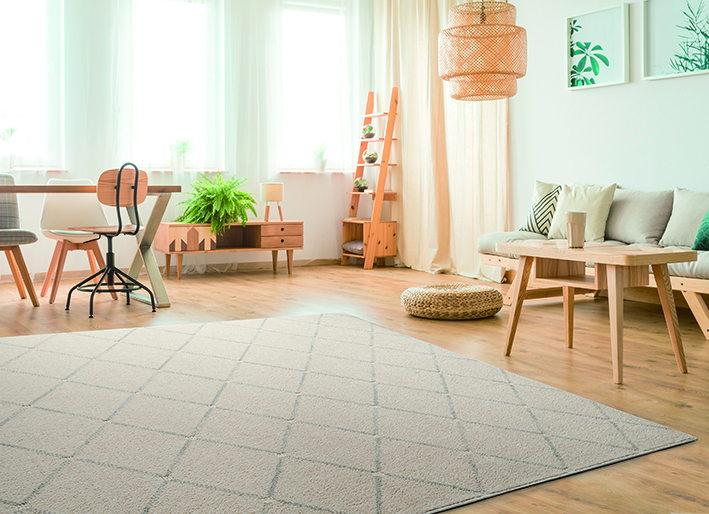 RUG　COLLECTION　アルテル